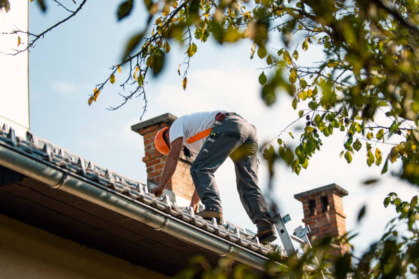 Best Commercial Roof Installation  in Goodrich, MI