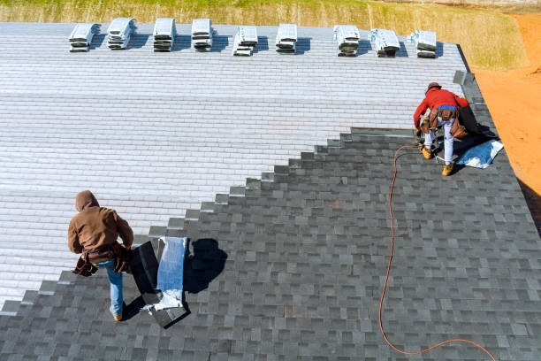 Best Flat Roof Repair Services  in Goodrich, MI