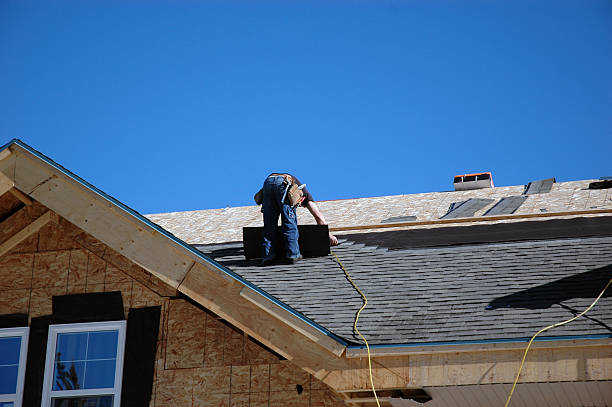 Best Sealant for Roof  in Goodrich, MI