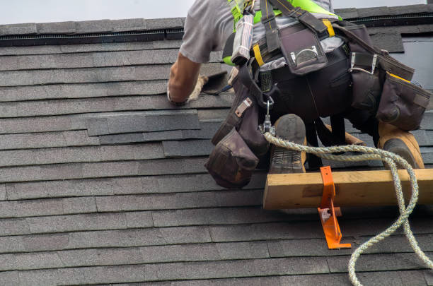 Best Roof Repair Services  in Goodrich, MI