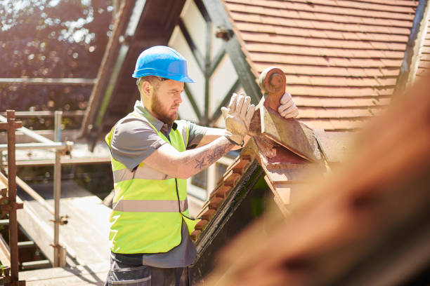 Best Local Roofing Companies  in Goodrich, MI