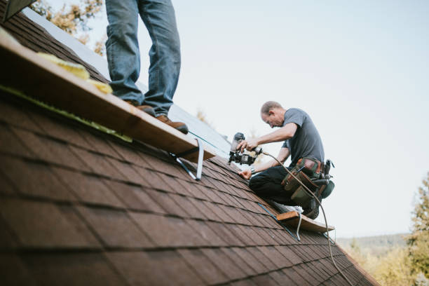 Best Roof Waterproofing Services  in Goodrich, MI